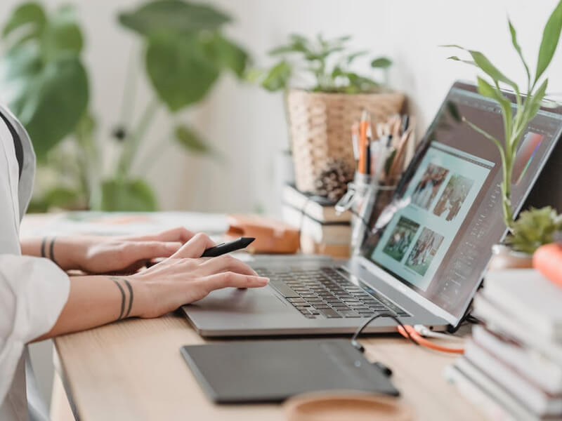 Web Development